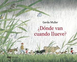 ¿Dónde van cuando llueve?